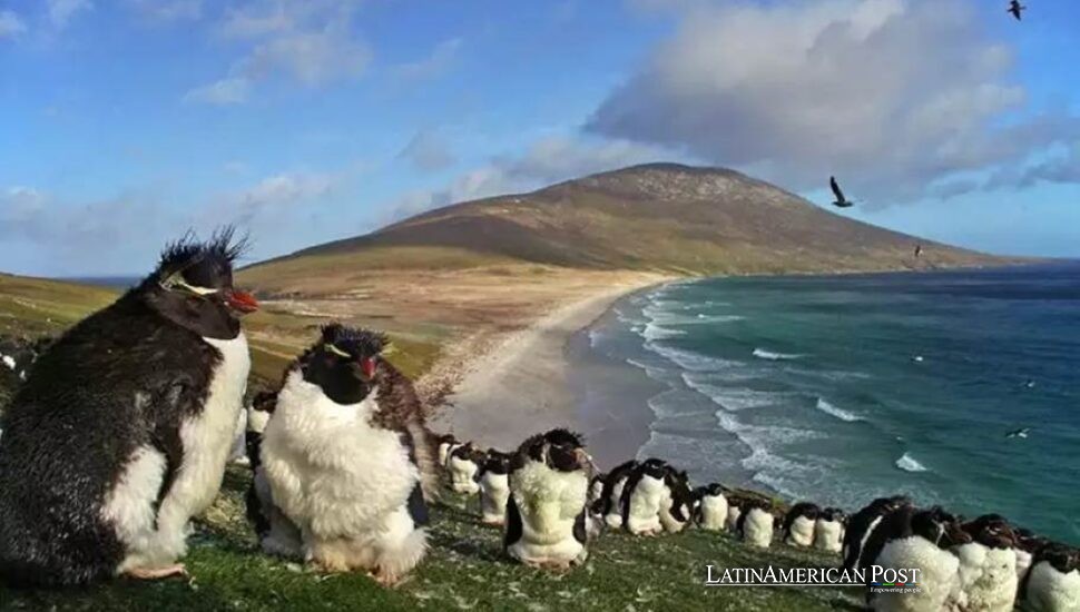 Las Malvinas regresan a la mesa de la OEA sin moverse un centímetro