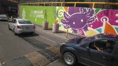 Mexico’s World Cup Axolotl Masks a Species Vanishing at Home
