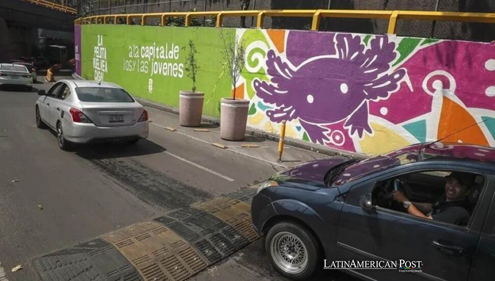 Las máscaras de ajolote del Mundial en México ocultan una especie que desaparece en casa