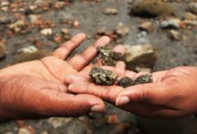 Trinidad’s Quake-Raised Coast Turns Fool’s Gold into Warning Signs Today Trinidad’s Quake-Raised Coast Turns Fool’s Gold into Warning Signs Today
