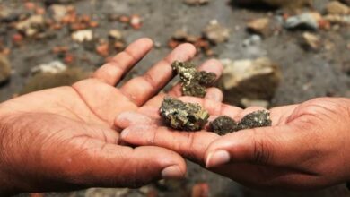 Trinidad’s Quake-Raised Coast Turns Fool’s Gold into Warning Signs Today