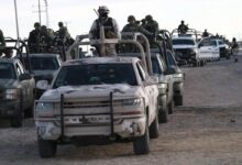 When Cartels Become Terrorists: The Dangerous Reframing of Latin America’s Crime Crisis