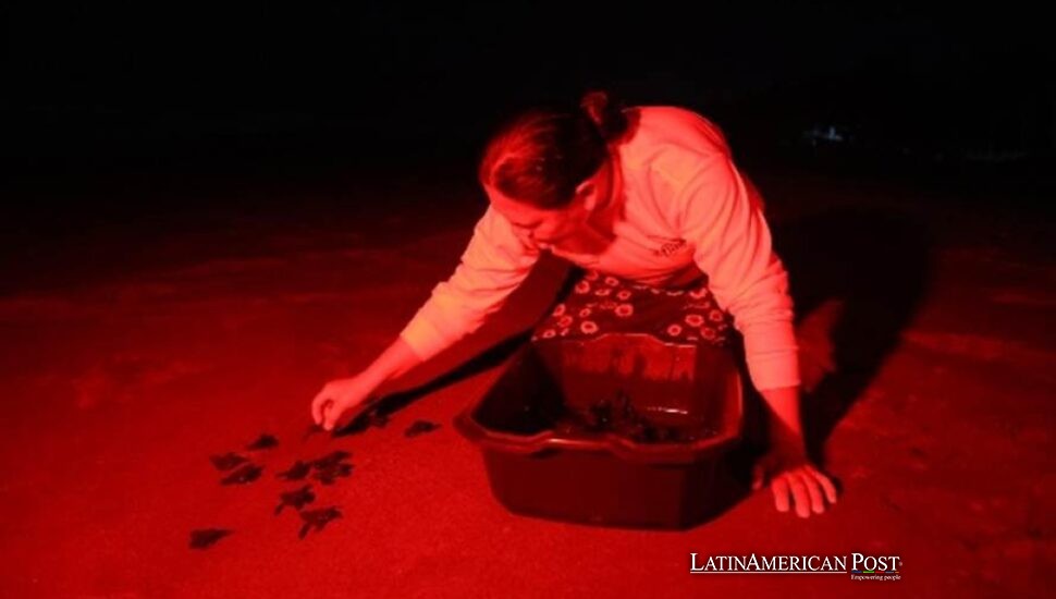 Las guardianas de tortugas de El Salvador convierten el comercio de huevos en supervivencia costera