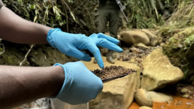 Latin America Battles Illegal Gold as Rivers Become Crime Scenes Latin America Battles Illegal Gold as Rivers Become Crime Scenes