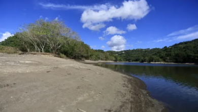 Puerto Rico Rations Every Last Drop as Historic Drought Deepens