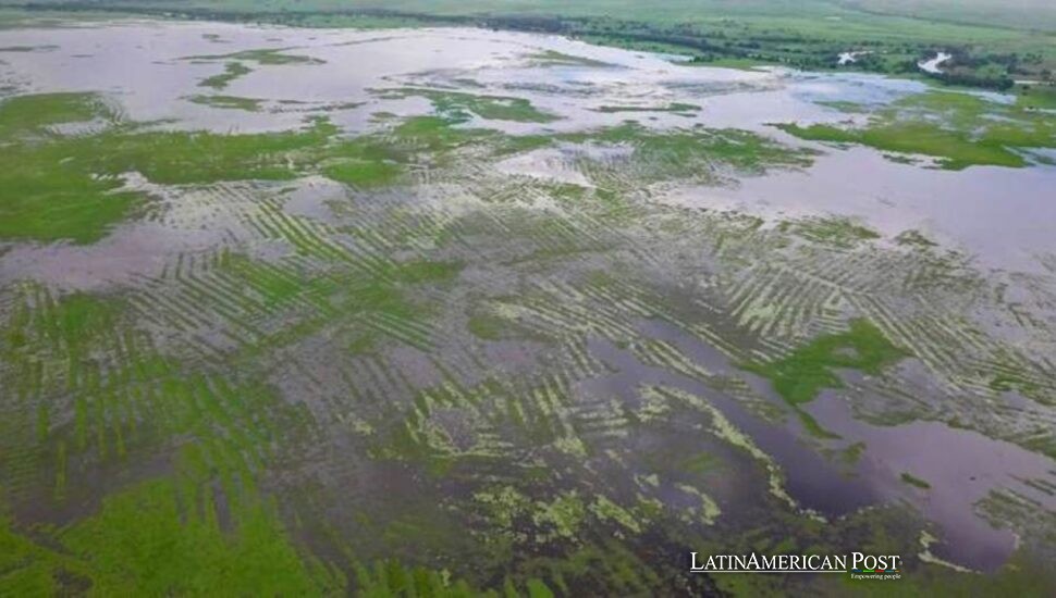 Colombia encuentra la democracia del agua bajo los antiguos campos elevados de La Mojana