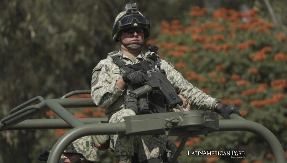 Mexico Guards Avocado Gold as Cartels Tax the Harvest Again
