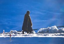 Bolivia’s Snowbound Highlands Reveal the Hidden Cost of Climate Whiplash Bolivia’s Snowbound Highlands Reveal the Hidden Cost of Climate Whiplash