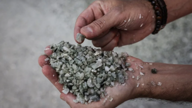 Argentina’s RIGI Bets on Oil, Copper, Code, and Long Concessions