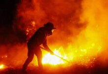 Colombia combate incendios forestales mientras Tolima cuenta el costo en cenizas
