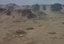 Las antiguas serpientes de Perú revelan cómo Caral sobrevivió en un mundo sediento