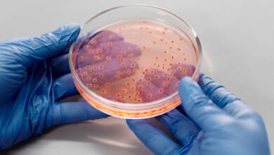 How a Contaminated Medical Scope Can Spread Deadly Infections How a Contaminated Medical Scope Can Spread Deadly Infections