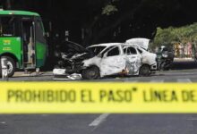 El comercio del aguacate en México convierte el oro verde en campo de batalla de cárteles y moneda de negociación