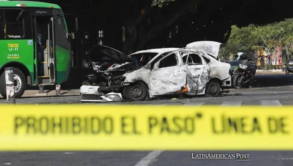 El comercio del aguacate en México convierte el oro verde en campo de batalla de cárteles y moneda de negociación