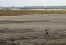 América Latina enfrenta la factura del hambre de El Niño mientras el maíz y los frijoles se marchitan