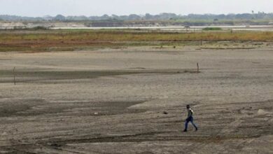 Latin America Faces El Niño’s Hunger Bill as Corn and Beans Wither