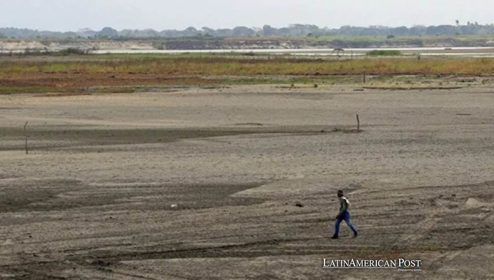 Latin America Faces El Niño’s Hunger Bill as Corn and Beans Wither