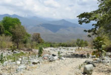 Campesinos guatemaltecos pierden sus cosechas y ven crecer el hambre en su lugar