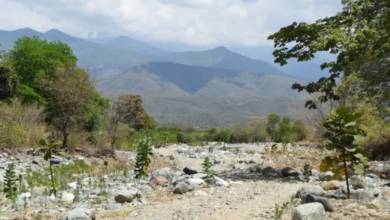 Guatemalan Farmers Lose Their Harvests and Find Hunger Growing in Their Place