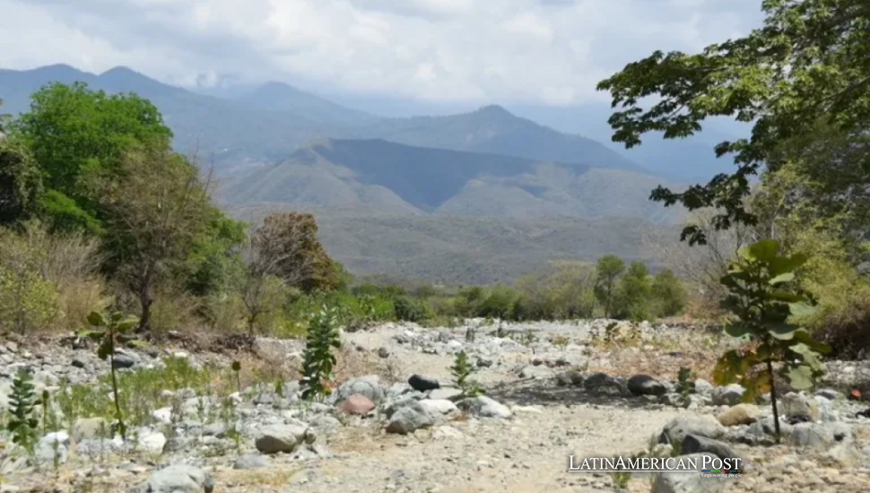 Guatemalan Farmers Lose Their Harvests and Find Hunger Growing in Their Place