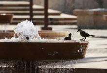 El calor del Caribe colombiano hace que la refrigeración sea esencial justo cuando la sequía limita el agua y la energía