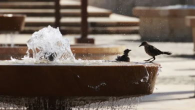 Colombian Caribbean Heat Makes Cooling Essential Just as Drought Squeezes Water and Power