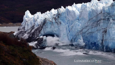 Argentina Faces a Chilling Economic Reckoning as Perito Moreno Loses Its Footing Argentina Faces a Chilling Economic Reckoning as Perito Moreno Loses Its Footing