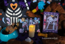 Bolivia da a sus mascotas fallecidas su Día de Muertos, y también la cena