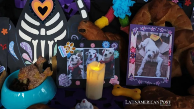 Bolivia da a sus mascotas fallecidas su Día de Muertos, y también la cena