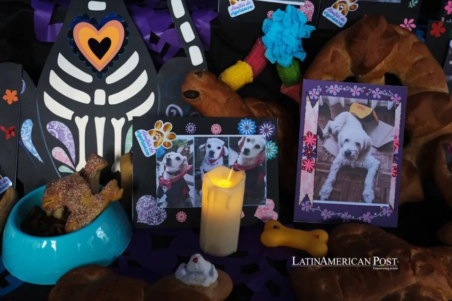 Bolivia da a sus mascotas fallecidas su Día de Muertos, y también la cena