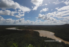 Colombia’s Amazon Oil Reversal: Who Pays the Price for Forest Loss?