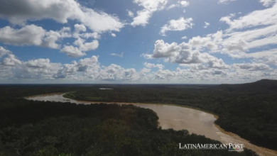 El giro petrolero de Colombia en la Amazonía: ¿quién paga el precio de la pérdida del bosque?