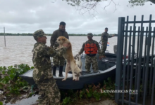 Las inundaciones en Paraguay ponen a familias en movimiento y paralizan la vida en la frontera