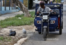Las soluciones solares enfrentan una batalla cuesta arriba en la creciente crisis de basura de La Habana