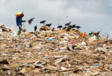 Trinidad and Tobago Buries Valuable Waste While Workers Dig Out a Living