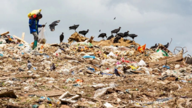 Trinidad and Tobago Buries Valuable Waste While Workers Dig Out a Living